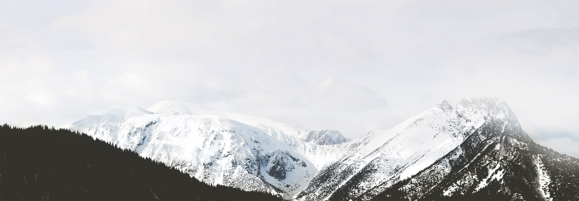 Public safety consulting services